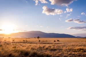 10 Stunning Places to Visit in Kenya This Year