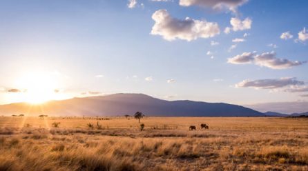 10 Stunning Places to Visit in Kenya This Year