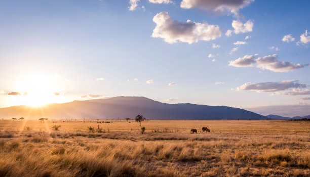 10 Stunning Places to Visit in Kenya This Year