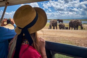 How to Choose the Best Safari Tour in Kenya: A Local’s Guide