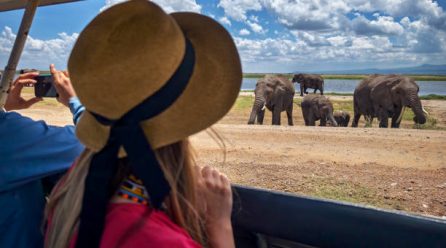 How to Choose the Best Safari Tour in Kenya: A Local’s Guide