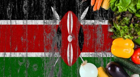 10 Practical Tips for Healthy Living in Kenya