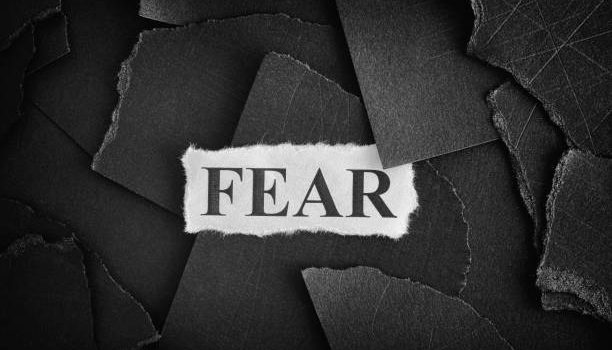 Why We Fear Stillness — And What It’s Costing Us